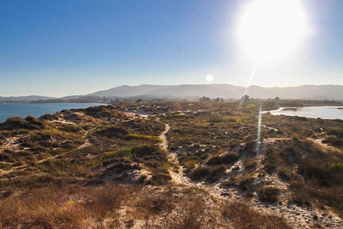 알헤시라스 Estudio A Pie De Playa Con Bano Y Cocina Privados 아파트 외부 사진